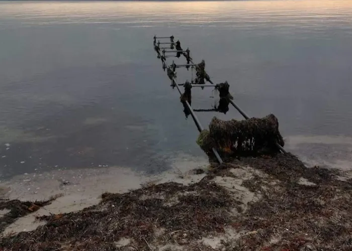 4 Person In Sydals * Osterby (Sonderjylland)